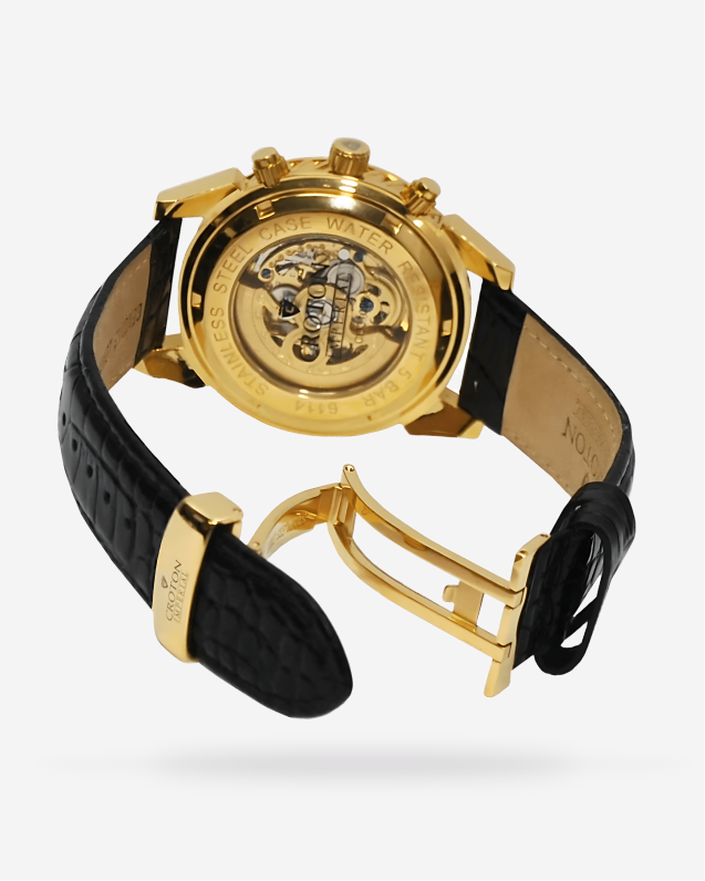 Titan Regalia Analog Multi-Color Dial Men's Watch-NL1506BM01/NP1506BM01  Online at Best Price|authorized selling partner watchbrand
